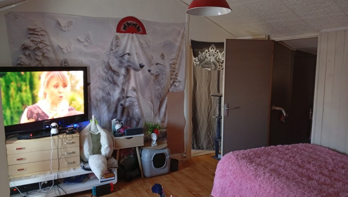 40 IMMOBILIER LA VERRIE