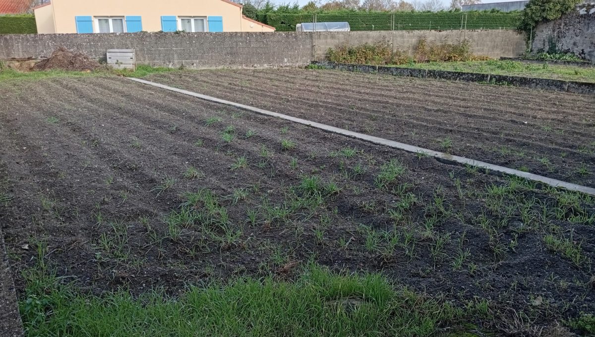 100 IMMOBILIER LA VERRIE